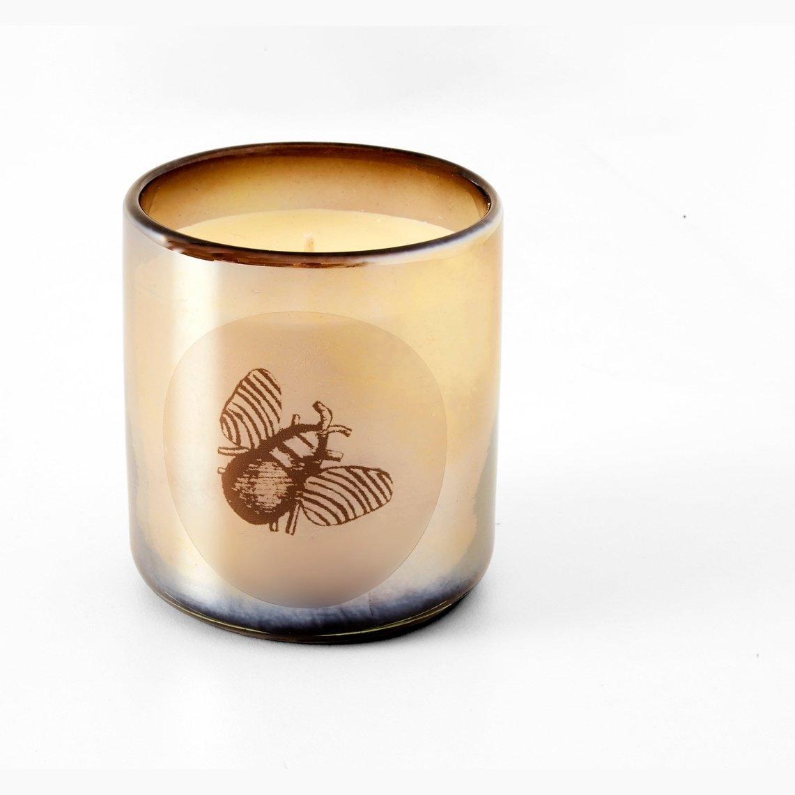 Vela beige arándano-mandarina Home Decor de Joyería Regina Castillo