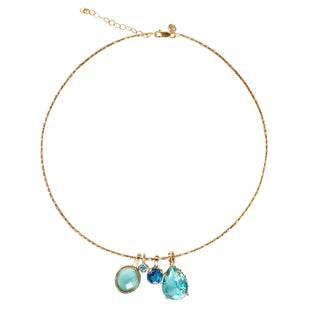 Collar Rígido Blue
