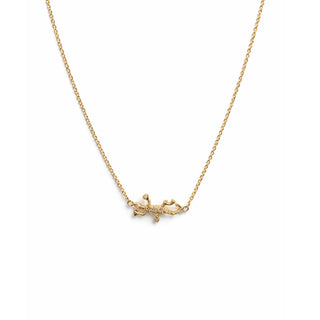 CADENA SALAMANDRA GOLD